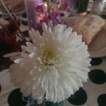 Gluten Free Sugar Cookies