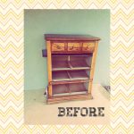 From Trash to Treasure: the Dumpster Dresser